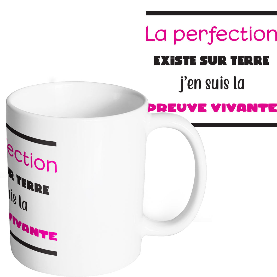 Mug marrant et original parfait parfaite So Custom