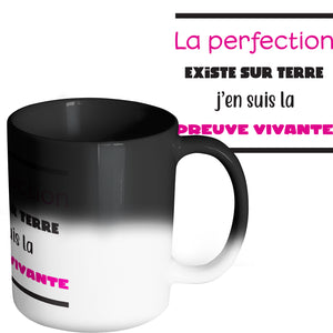 Mug marrant et original parfait parfaite So Custom